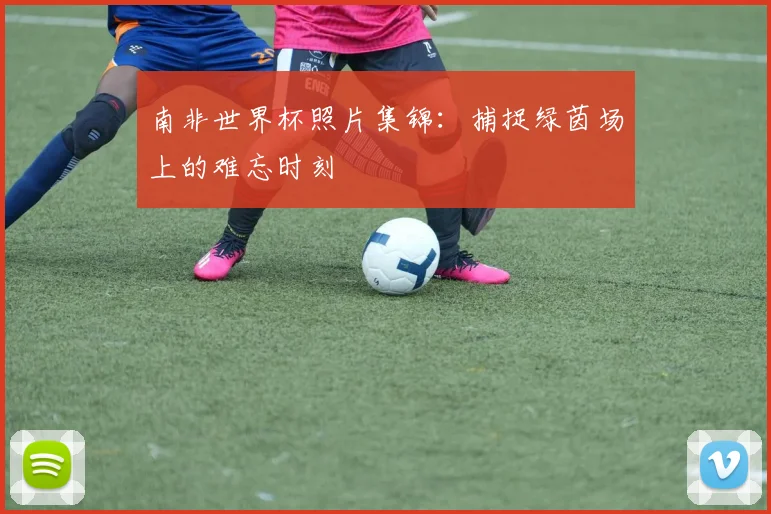 南非世界杯照片集锦:捕捉绿茵场上的难忘时刻