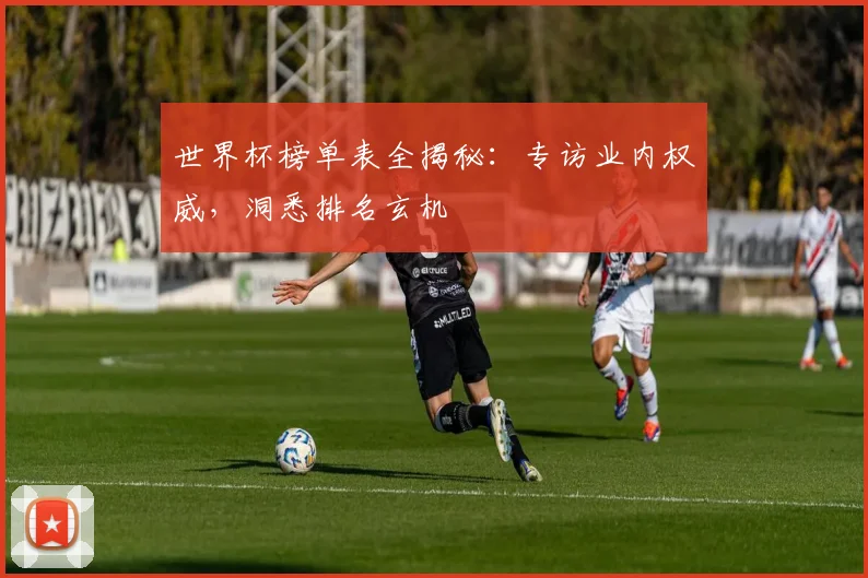 世界杯榜单表全揭秘：专访业内权威，洞悉排名玄机