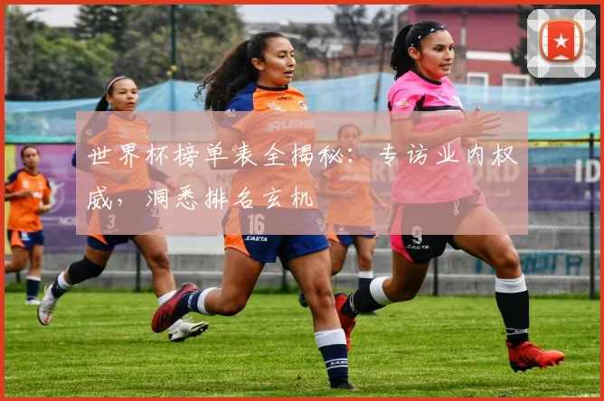 世界杯榜单表全揭秘：专访业内权威，洞悉排名玄机